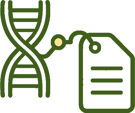 Cotton gene annotation