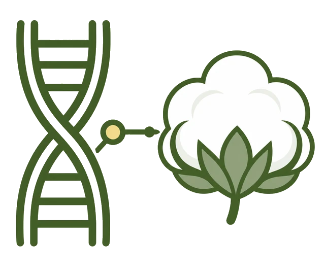 CottonMD gene database